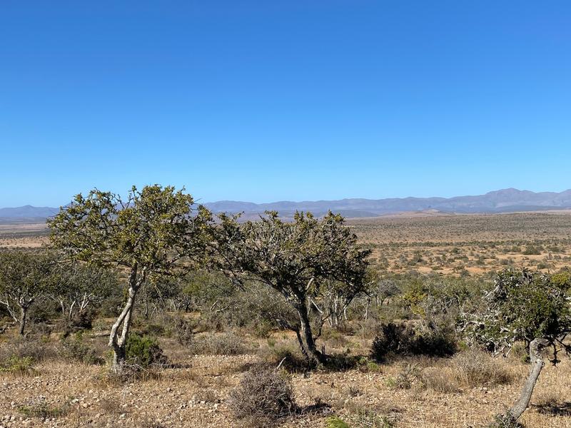 0 Bedroom Property for Sale in Kirkwood Eastern Cape